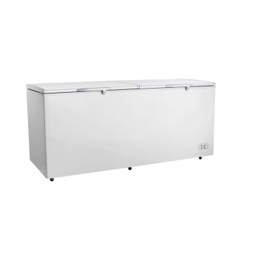 Supermarket Commercial Refrigeration Solutions: Chiller, Freezer, and Horizontal Fridge for Frozen Food Storage