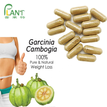 Gewichtsverlust Garcinia Cambogia Fruchtextrakt HCA Pulver