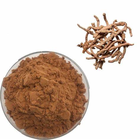 Natural Organic Anti-Oxidant Angelica Radix Extract