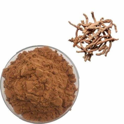 Natural Organic Anti-Oxidant Angelica Radix Extract