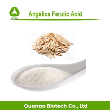 Chinese Angelica Root Extract 98% Ferulic Acid Powder