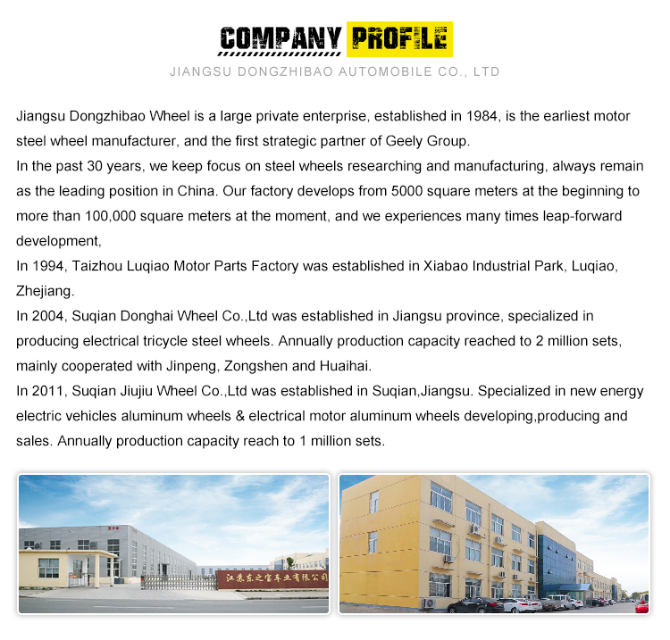 Company profile