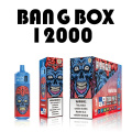 Bang Box giá rẻ 12000 Puffs Vape Vape Đức