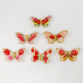 Butterfly craft on wall