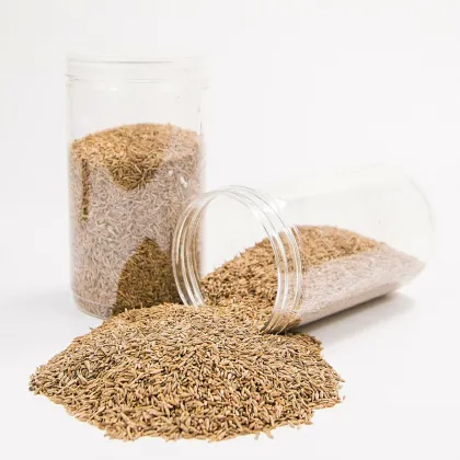 Top Quality 100% Natural Spice Cumin Seeds