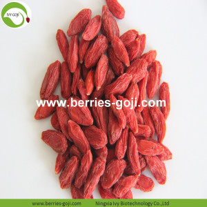 Fornecimento de fábrica secas frutas saudáveis ​​Goji Berry