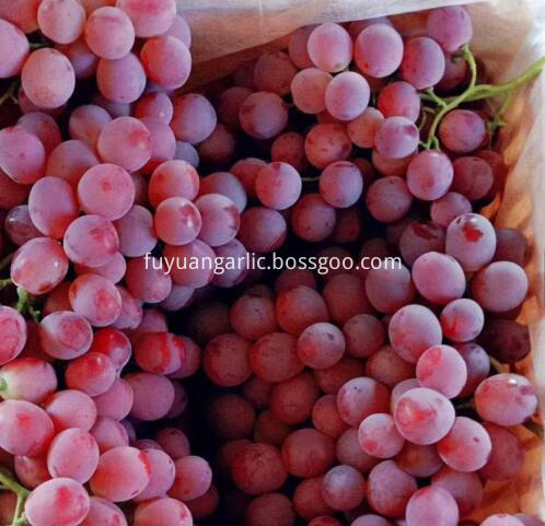 fresh grapes