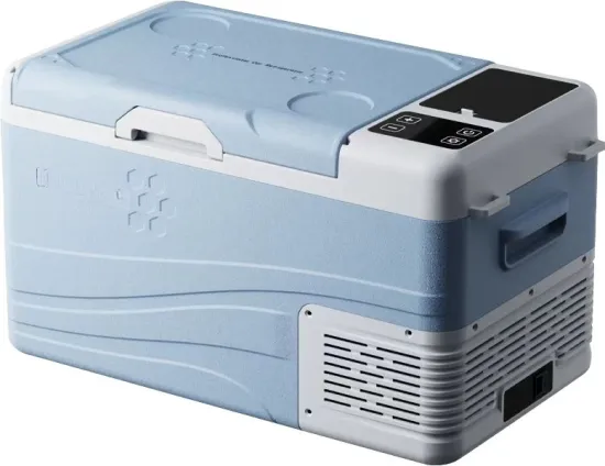 Factory Supply Wholesale 100-240V Car Refrigerators - 12/24V Mini Portable Coolers (10L-22L)