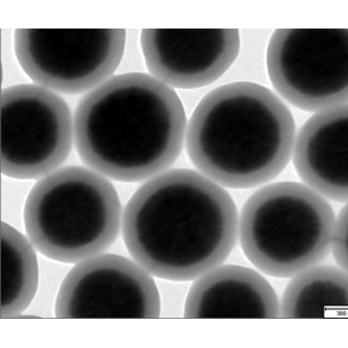 Particules magnétiques MagneStar MS5000-COOH