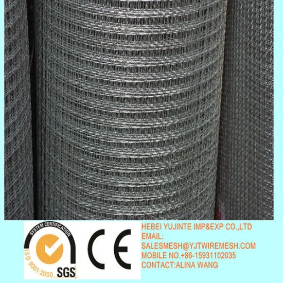 Square Wire Mesh(direct factory)