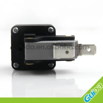 Food waste disposers air push switches 16a micro switch