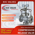 DN25-300 Compression release valve