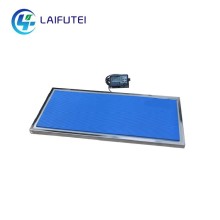 500kg Electronic Pet Platform scale animal scale