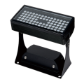 Outdoor flood light for park trails