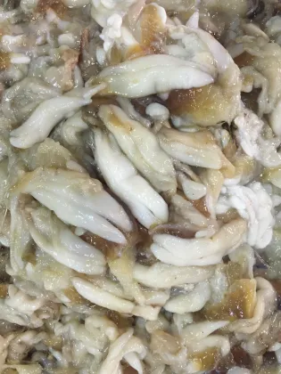 frozen Japanese flying squid roe