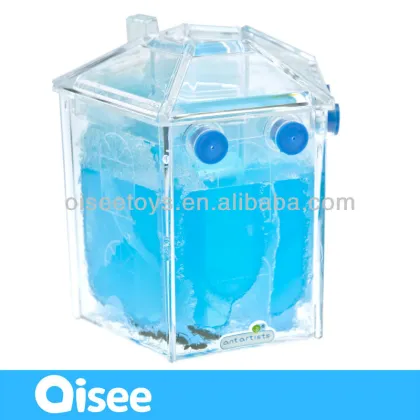 Ant Castle/ant toys/ant farm/ant world