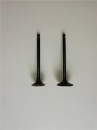 Jac J5 AT Engine Valve 1.8L S1007L21153-50011