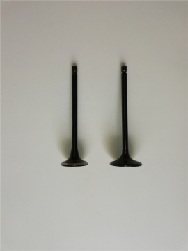 Jac J5 AT Engine Valve 1.8L S1007L21153-50011
