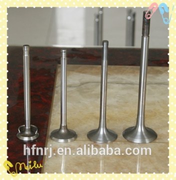 Hot Sale Standard Agricultural Diesel Engine Valve