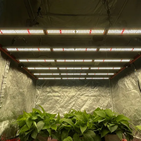 Best LED 600W Indoor Plant Grow Light 5x5ft