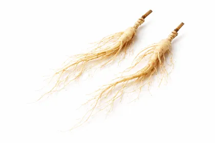 Organic Wild Ginseng Herb