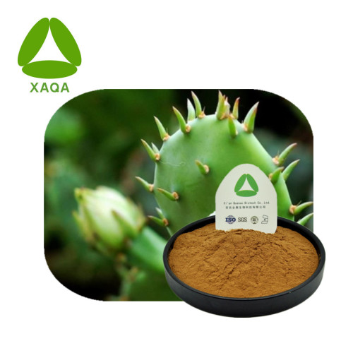 Spot Cactus Fruit Prickly Pear Extract Powder