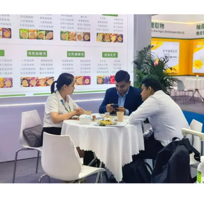 Morchella esculenta