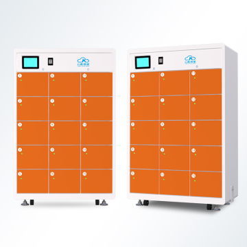 Battery Swapping Stations for Public