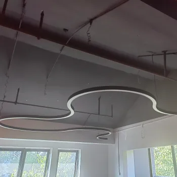 Bespoke Snake Shape Light Office Hanging Lamp L6060-S-10000