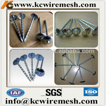 Galvanized umbrella head roofing nails with corrugated shank.