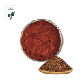 Pine Bark Extract Powder