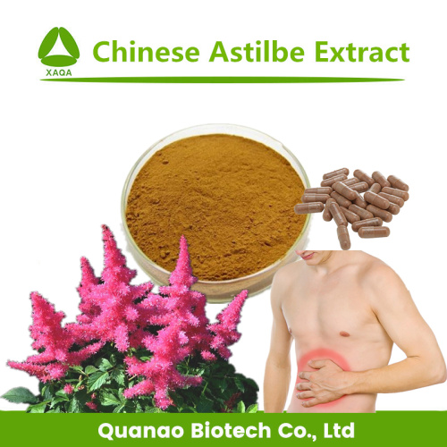 Astilbe Chinensis استخراج مسحوق لمواد العناية بالمعدة