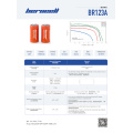 BR123A Нізкая тэмпература (-40 ° С ~ 100 ° С) цыліндрычная батарэя