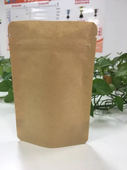 Zip Lock Block Bottom Paper Bag Biodegradable