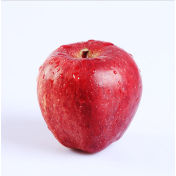 origen de la fruta fresca almirante rojo manzana