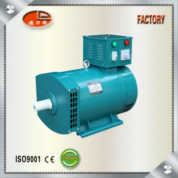 STC 100% Copper Wire Three Phase Auto Alternator Generator