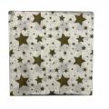 PARTY TISSUE 6