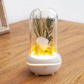 Crystal Aromatherapy essential oil aroma diffuser