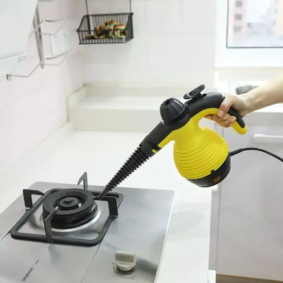 Hot sale multi-functional mini handheld dry steam cleaner