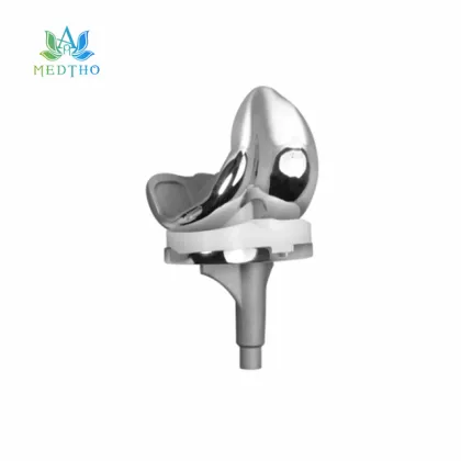 total knee prosthesis