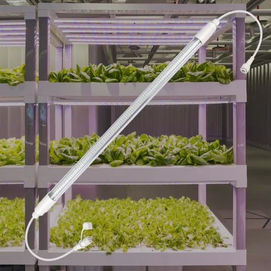 T8 Full Spectrum LED Indoor Growing Light for Greenhouse Plant Growth