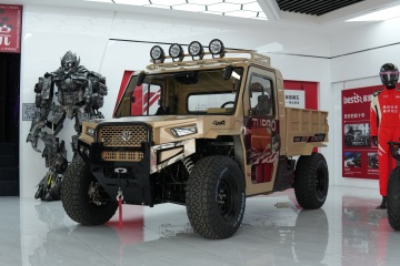 Side by side utv for sale