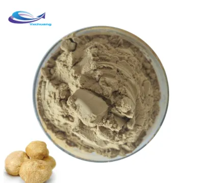 Supply Healthcare Products Dried Lion's Mane Mushroom Powder