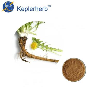 Serbuk ekstrak akar dandelion