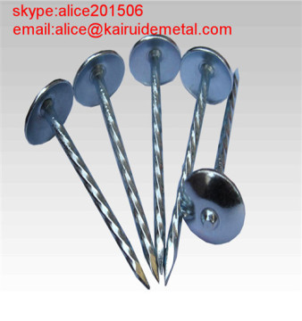 Twisted Shank Galvanized Umbrella Head Roofing Nail