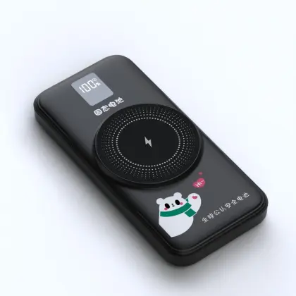 Solid State power bank