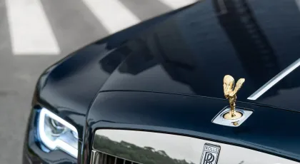 TPU Pine Green Car Wrap PPF Film