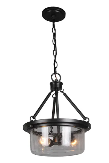 Modern 2-light Black Steel Living Room Pendant Lights