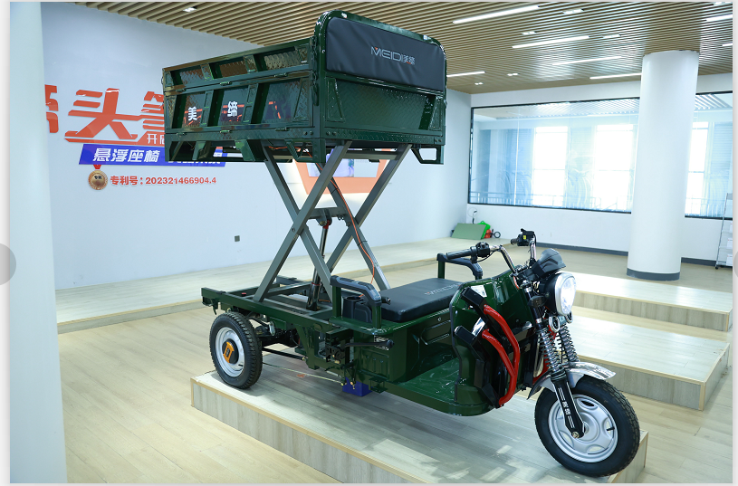 Low-carbon Electric Tricycles