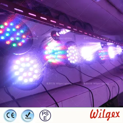 Chauvet Rogue R2 Led Wash Price